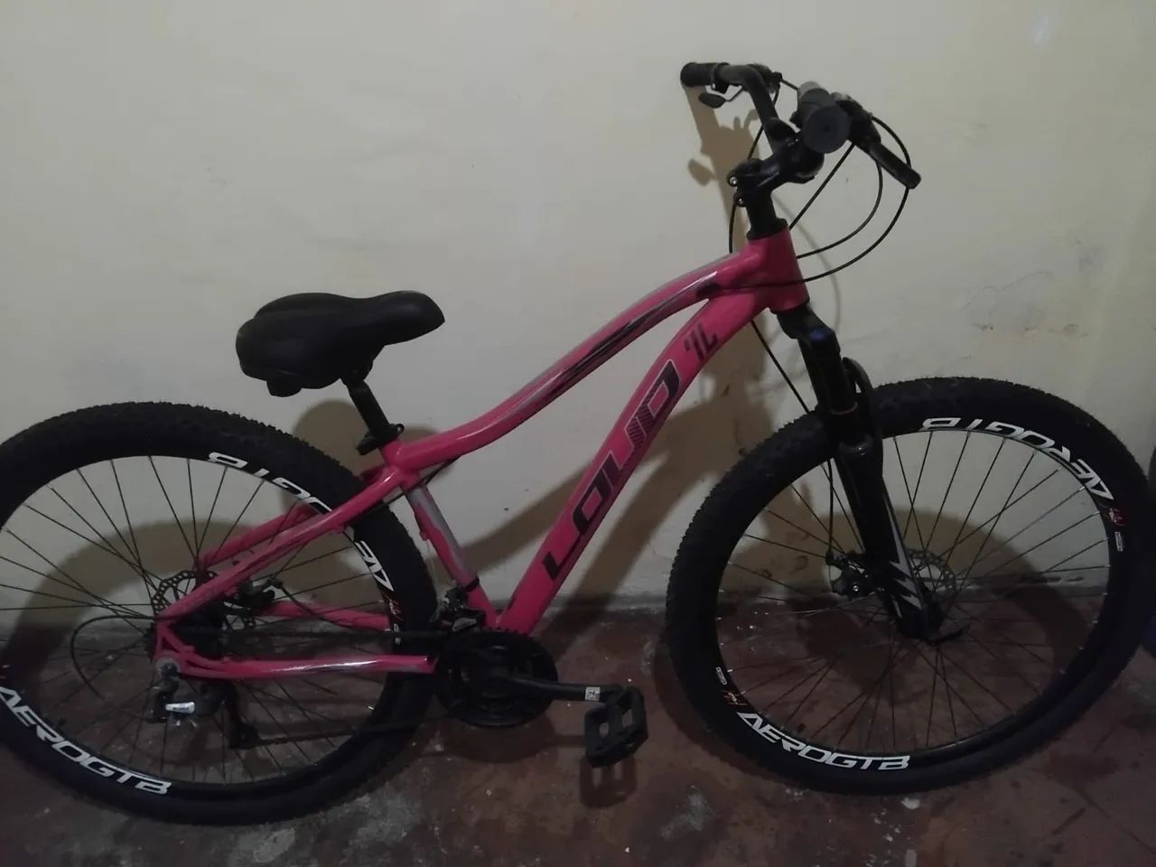 Bicicleta