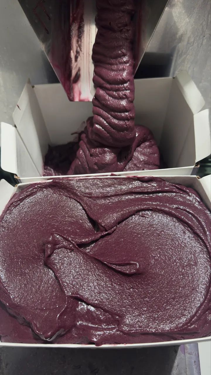 Açaí premium 10 litros 