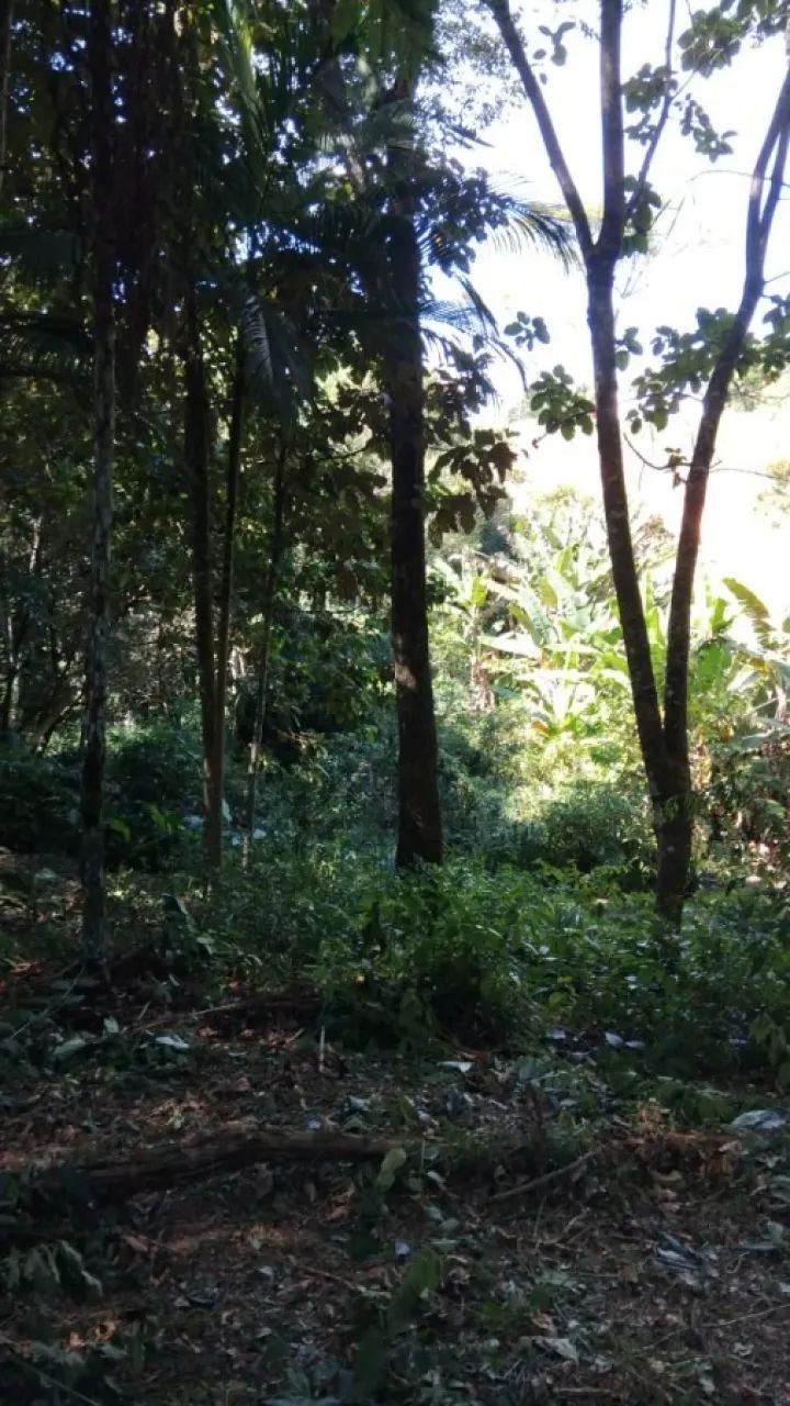 Terreno em São Sebastião, Palhoça/SC - Foto 2