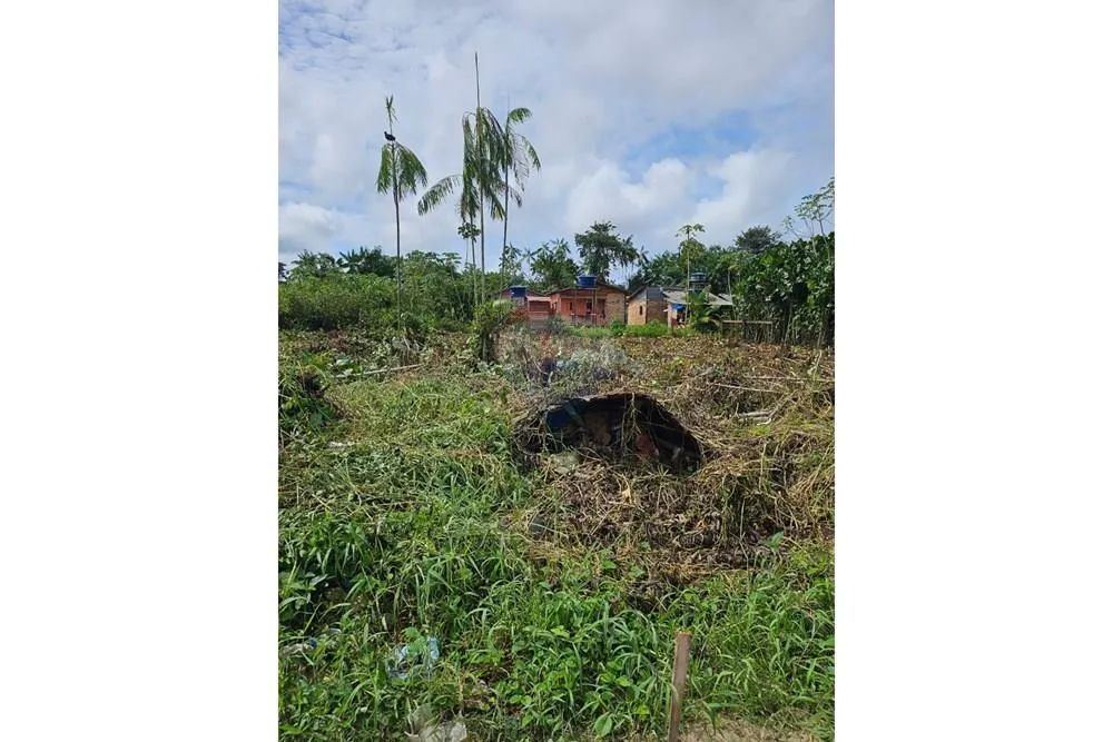 Terreno à Venda em Breves/PA - Foto 4