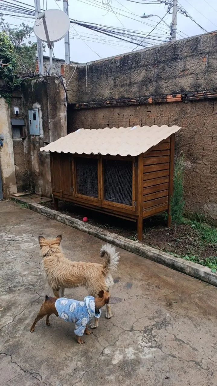 Galinheiro viveiro de madeira  - Foto 2