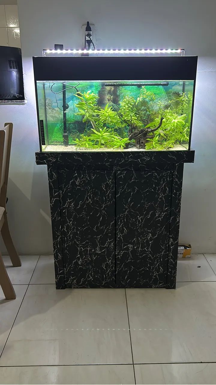 Aquário Completo com móvel - 100L