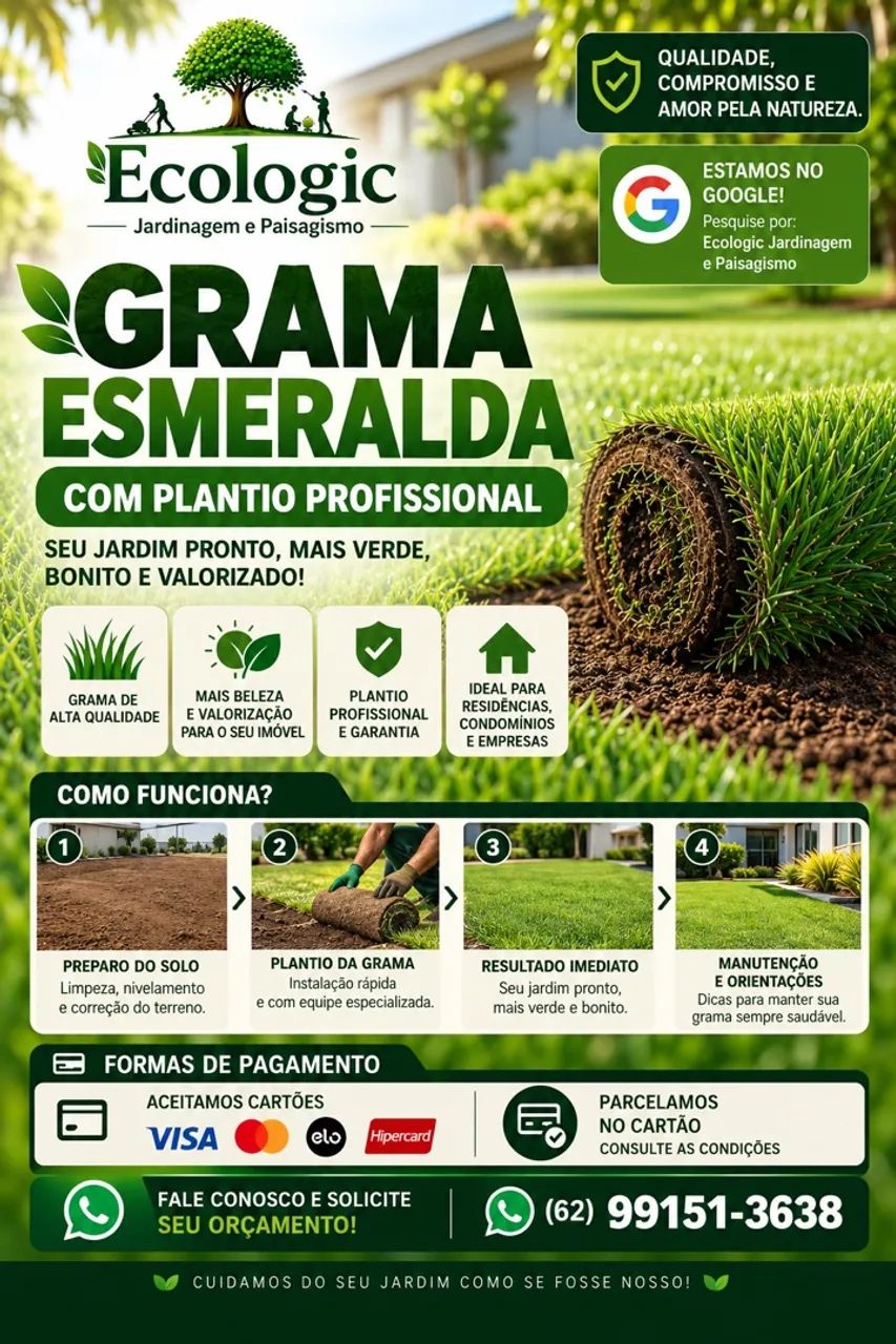 Grama esmeralda com plantio 