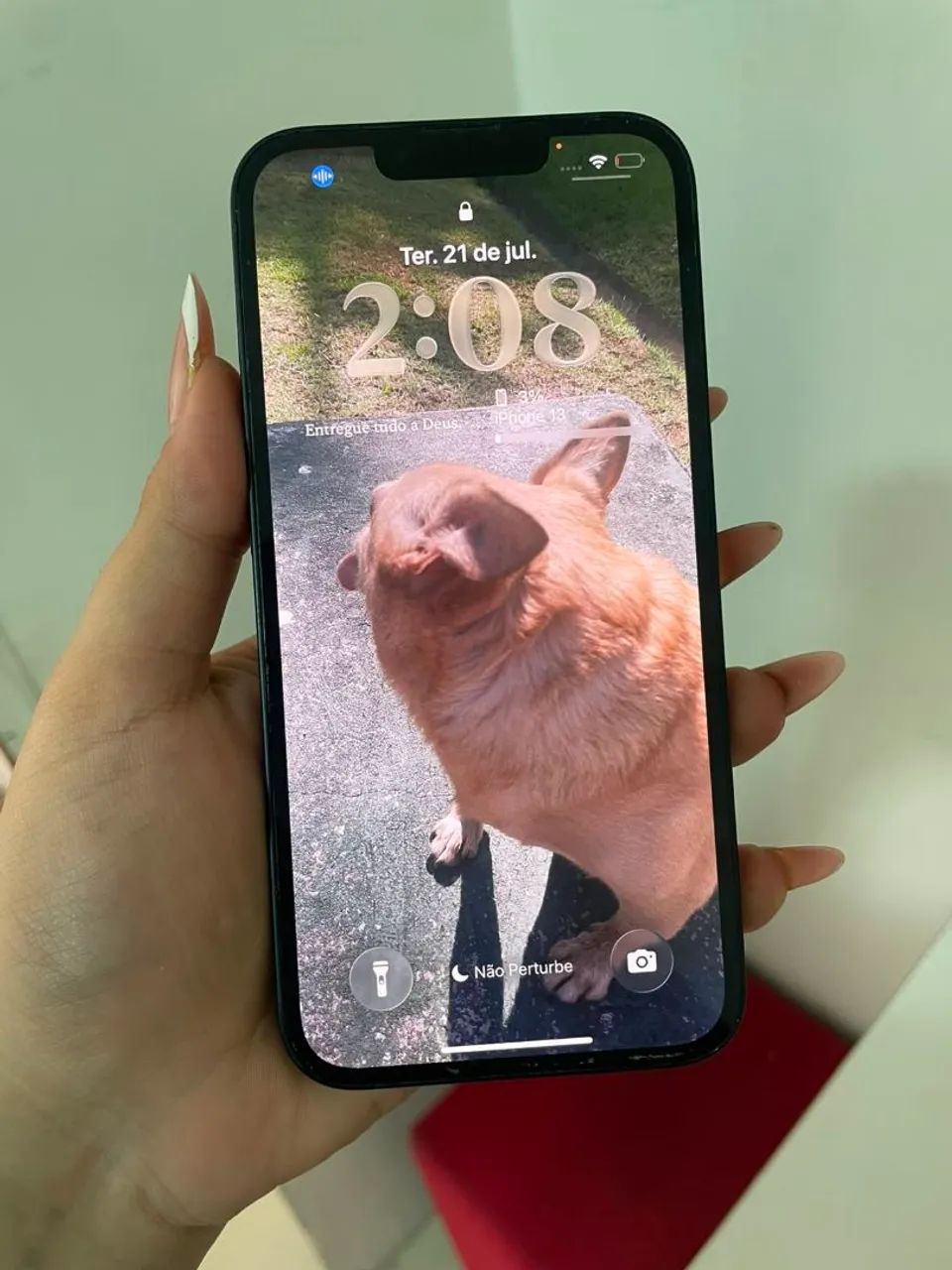 Iphone 13 semi novo !!