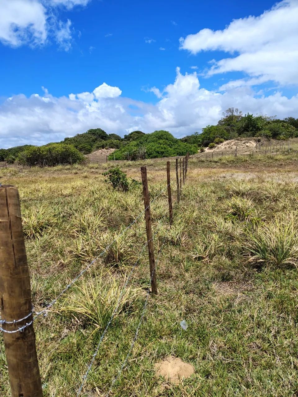 Vendo Excelente Terreno na Praia do Abaís - Estância/SE - Foto 2