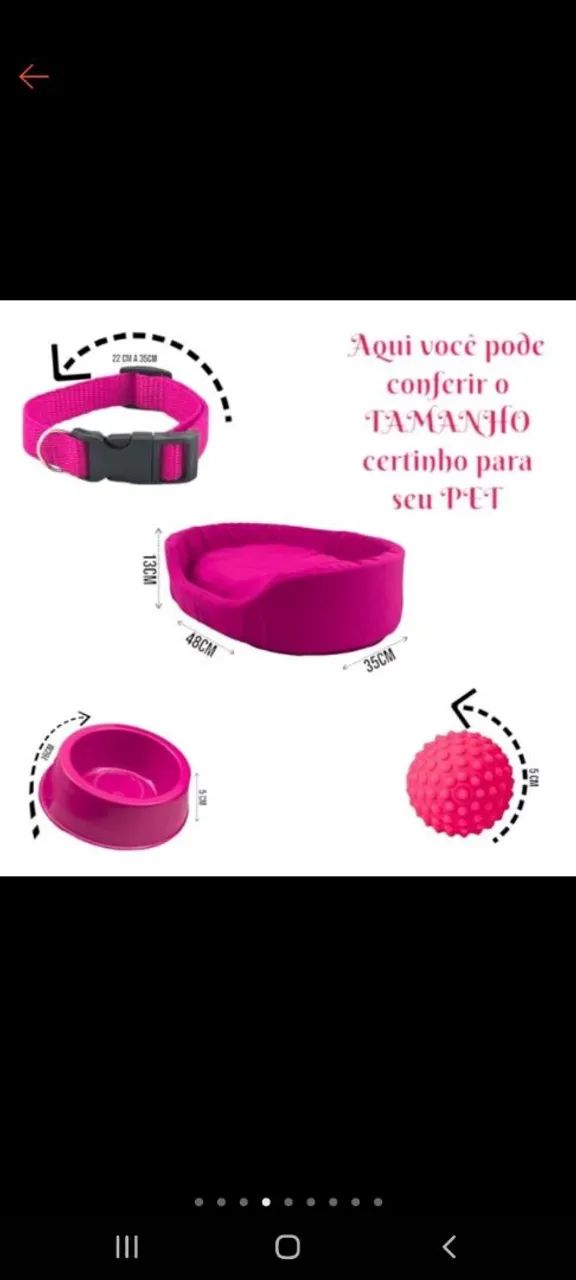 Adoção responsável  - Foto 4