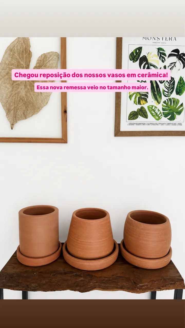 Vasos - Foto 5