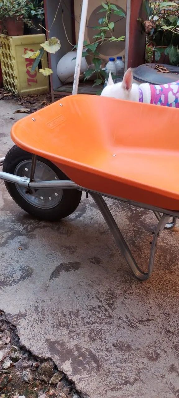 Carrinho de Mão  - Foto 5