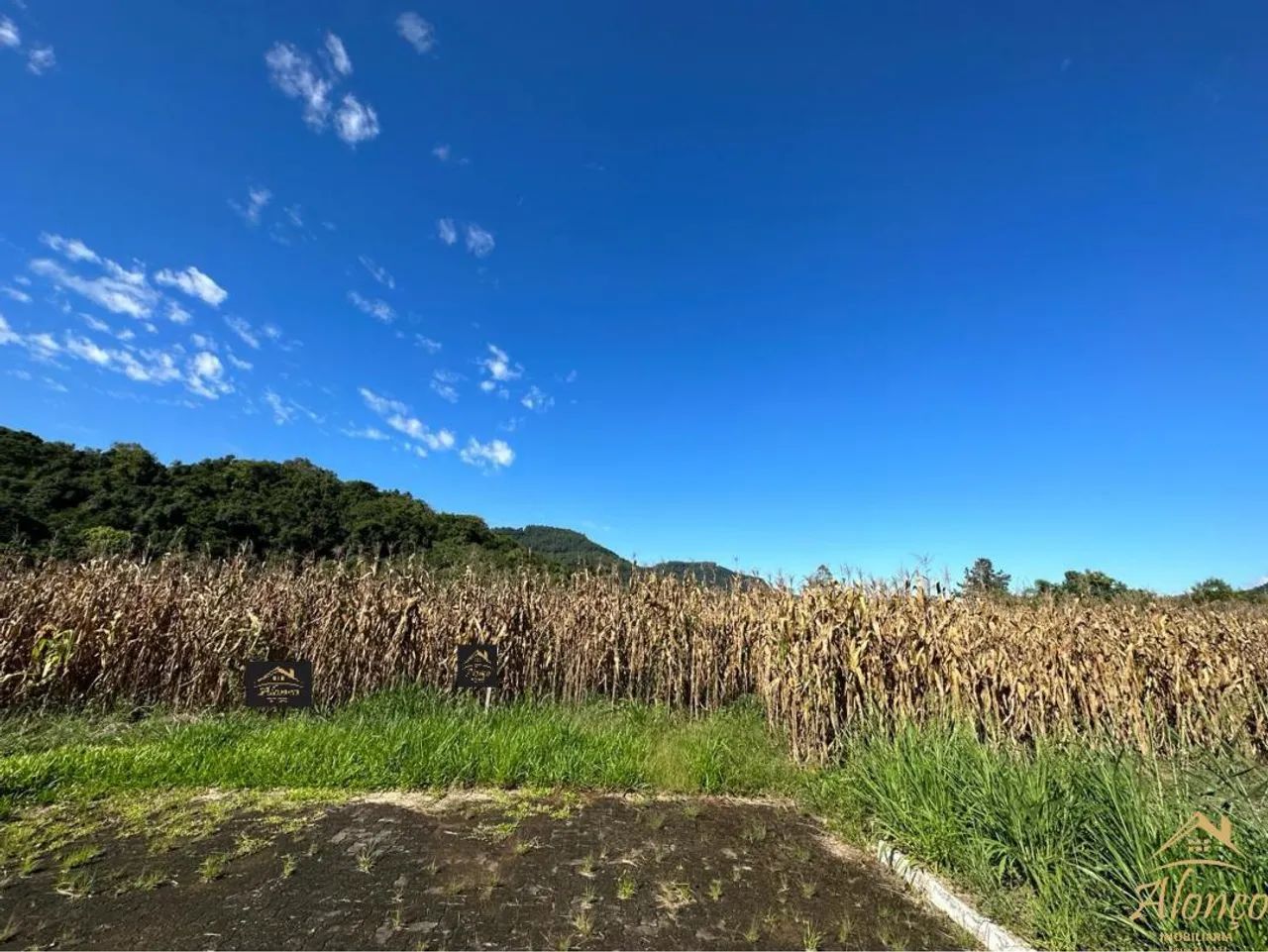 área de terra com 5.300 m², no centro da Cidade de Picada Café RS! REF: 1439 - Foto 5