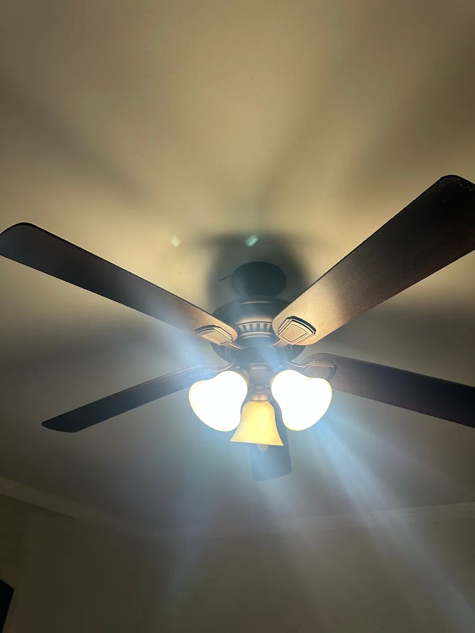 Ventilador de teto