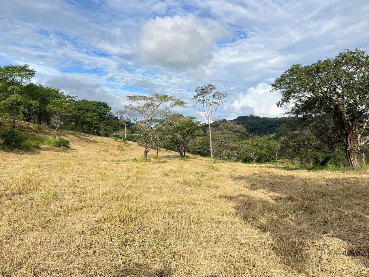Fazenfinhas rurais em Pará de Minas  - Foto 3