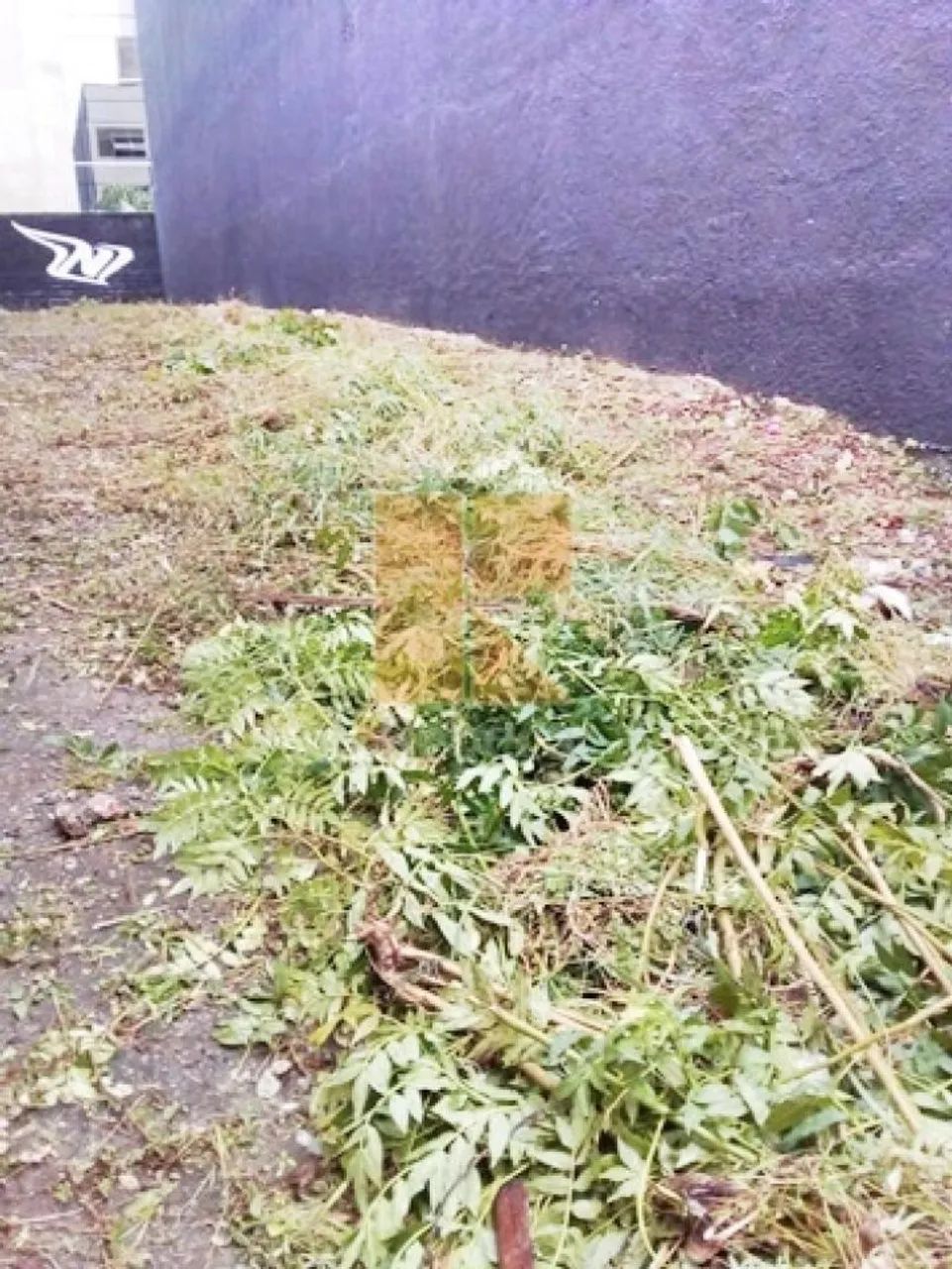 Terreno Santa Cecilia - Foto 4