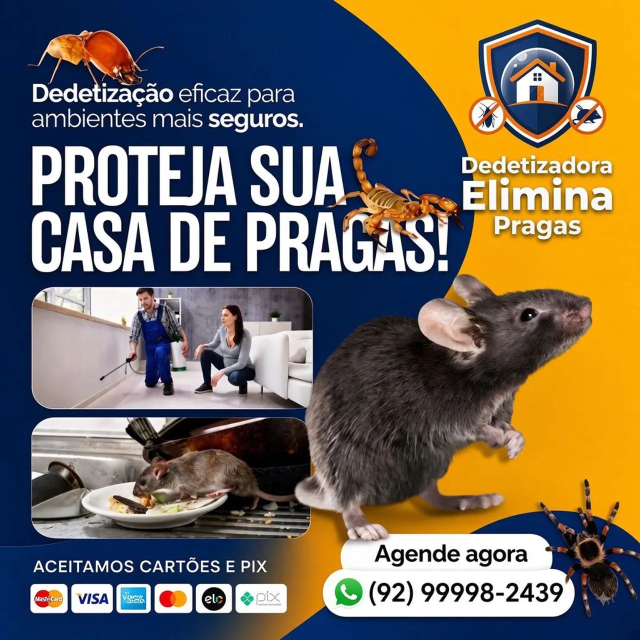 Dedetização 