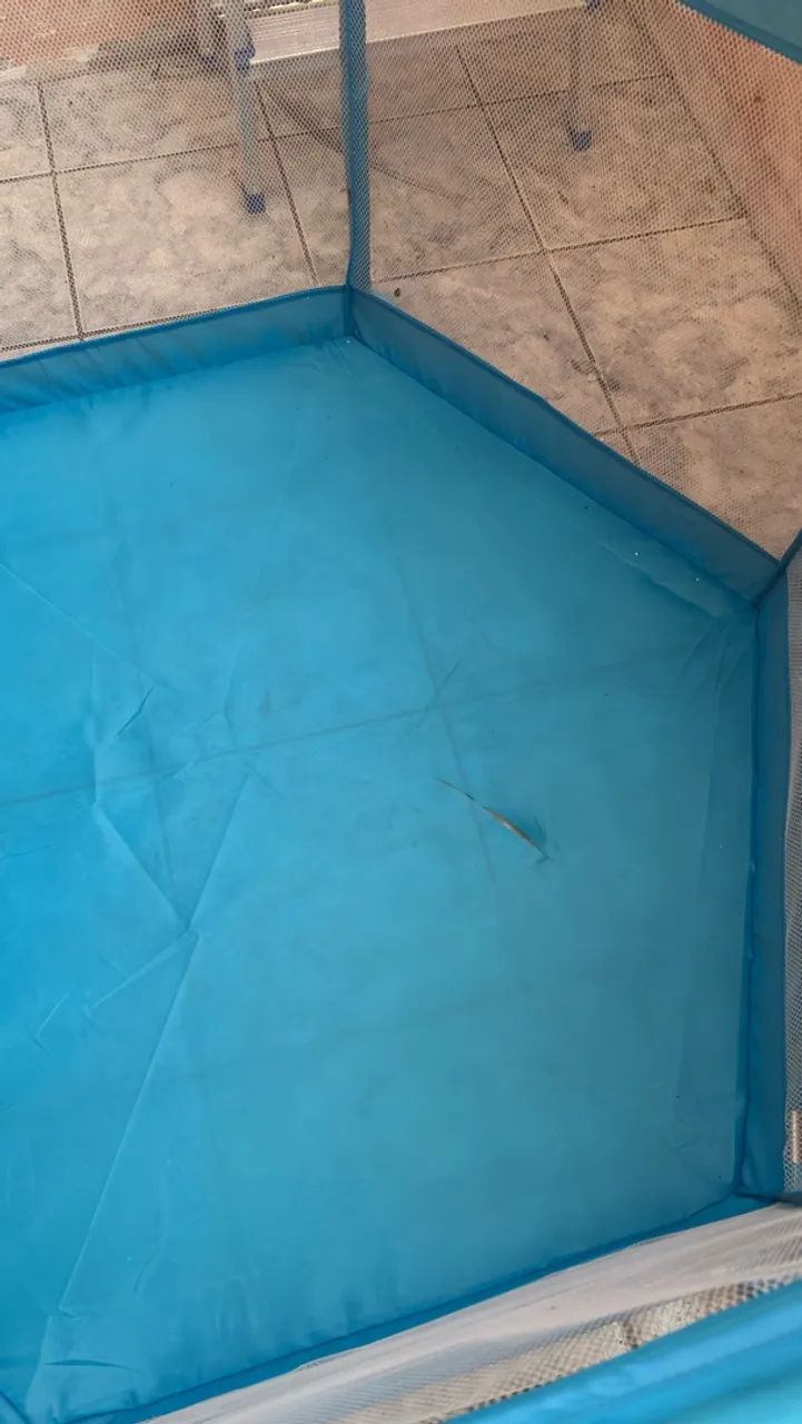 VENDO Cerdadinho de bebê  - Foto 5