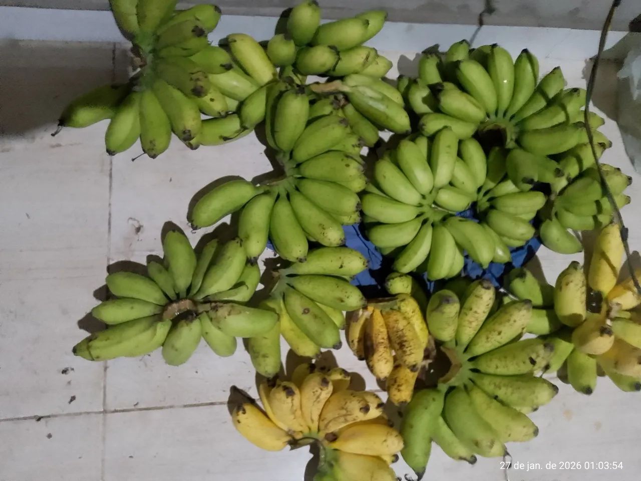 Banana maçã  - Foto 3