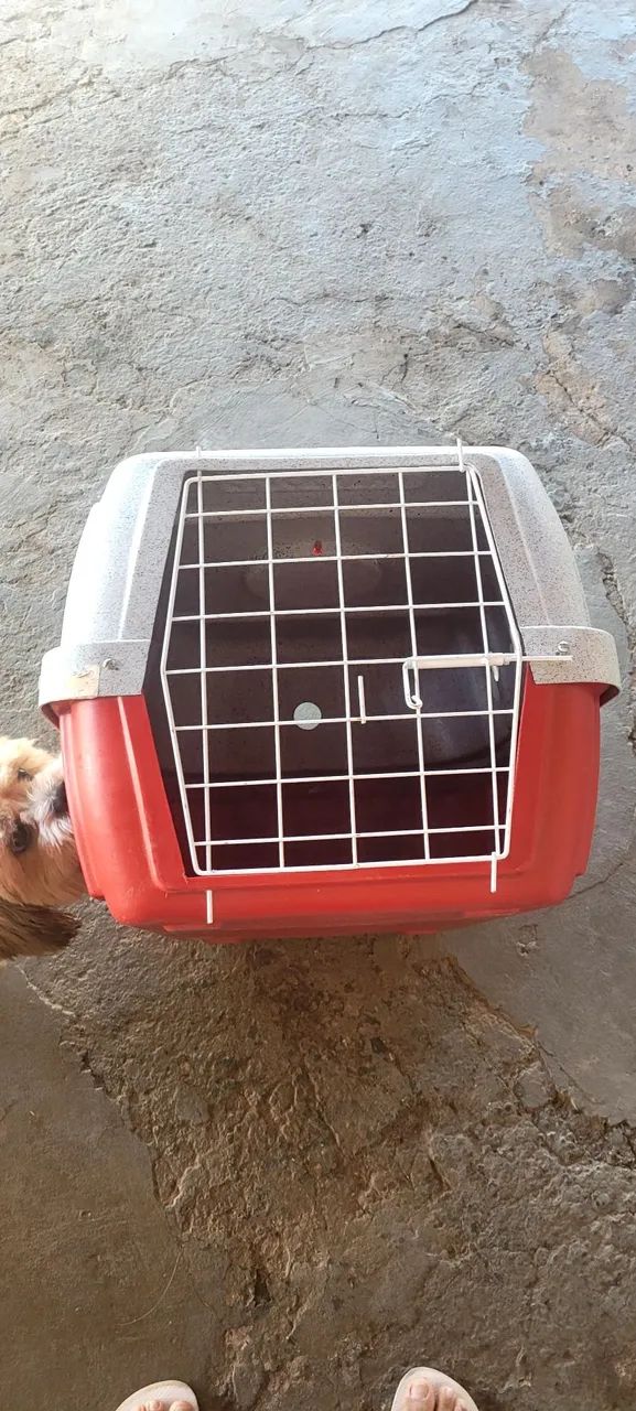 CAIXA DE TRANSPORTE DE CACHORRO  - Foto 3
