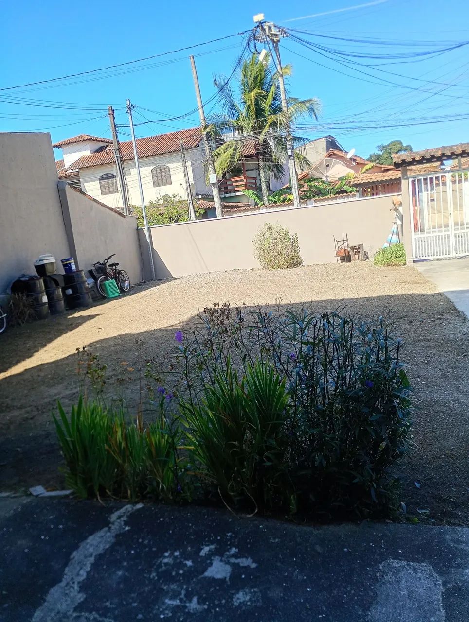 Limpeza de terrenos e quintais e corte de árvore e faço serca   - Foto 3