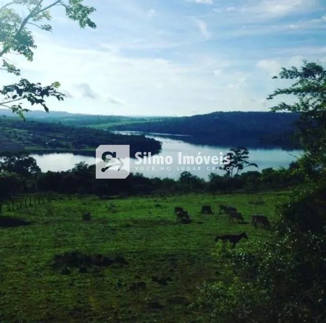 Venda Área AREA RURAL DE UBERLANDIA - Foto 2