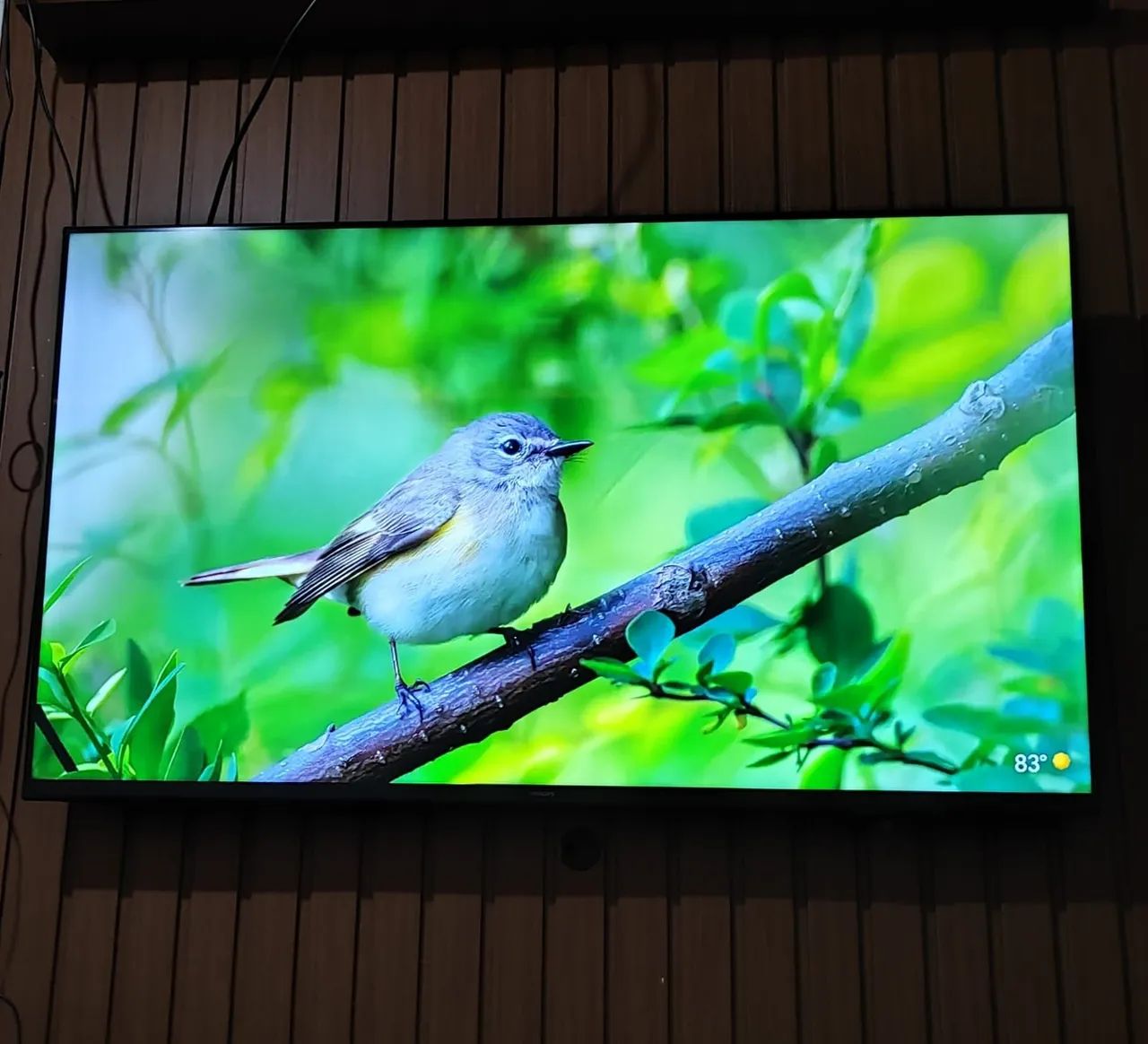 TVs  - Foto 2