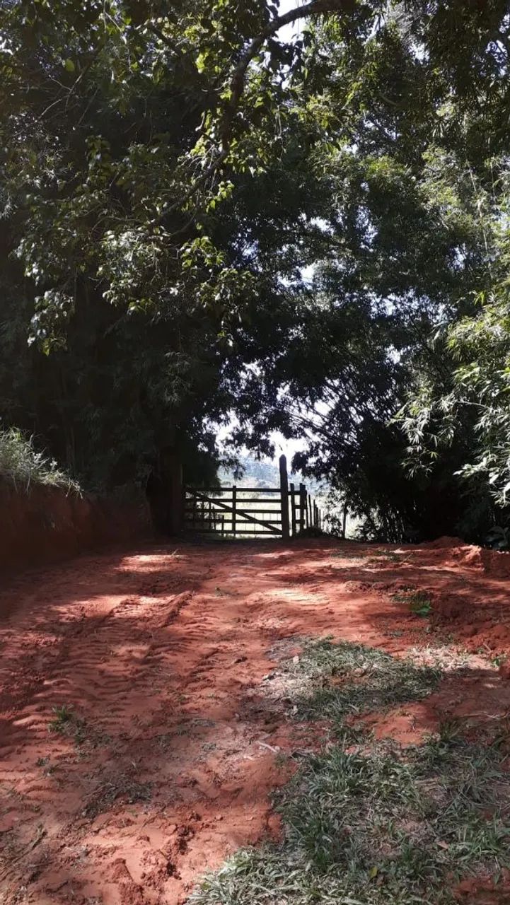 Excelente Propriedade Rural  - Foto 2