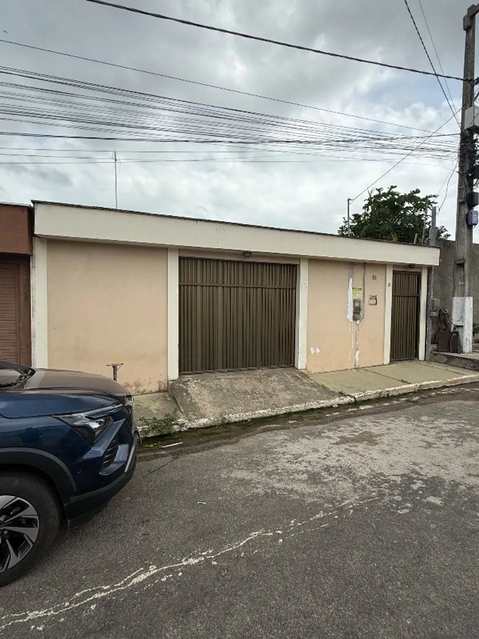 Foto - Raposa - 