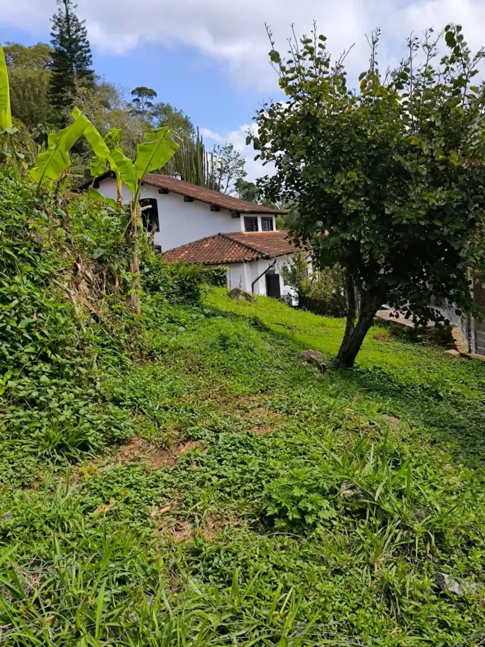 Terreno plano com 500 m² no Centro - Foto 3