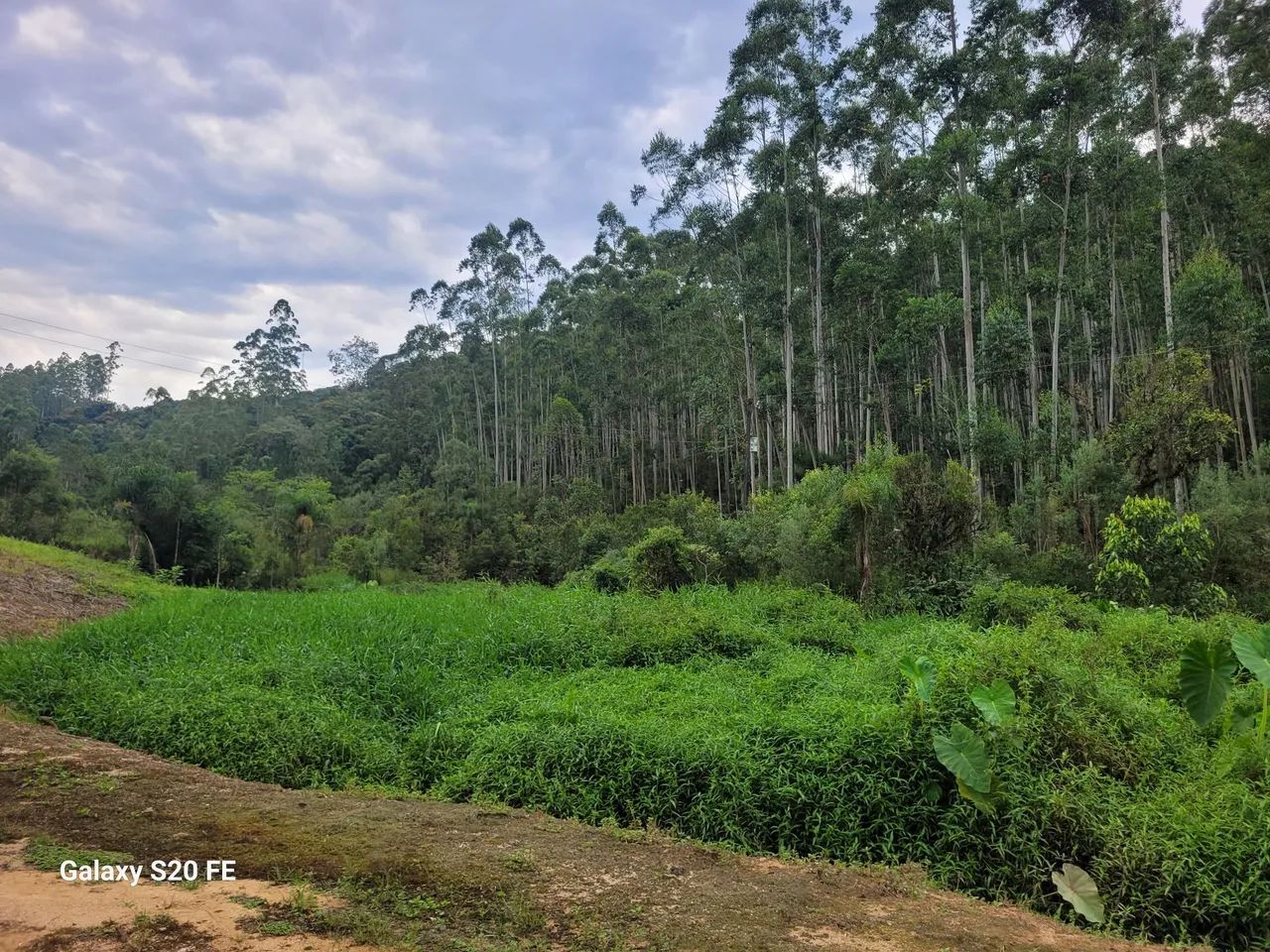 Terreno em São Bonifácio  - Foto 2