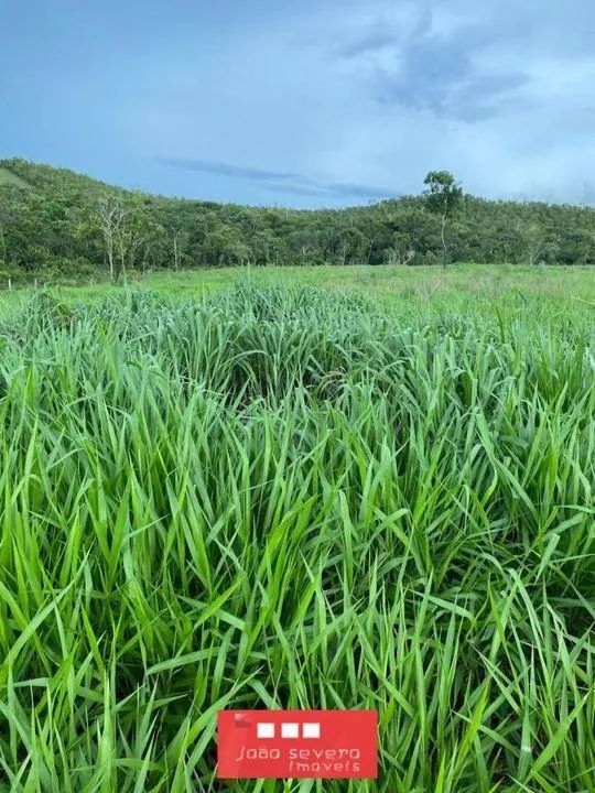 Fazenda para Venda em Palmas - Foto 5