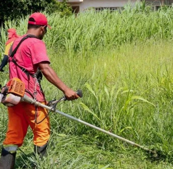 Faço poda de árvore desenhado roçagem de terreno - Foto 3