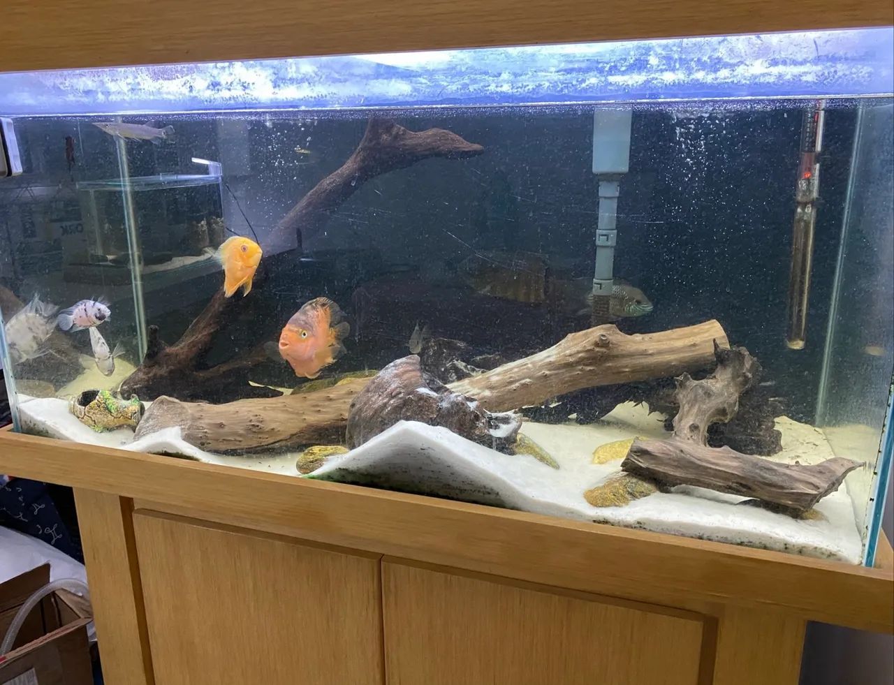 Aquario 200 litros com móvel