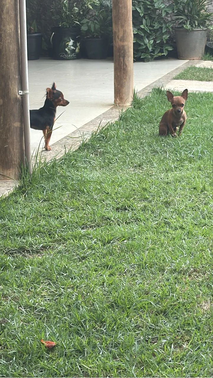 Vendo - Foto 3