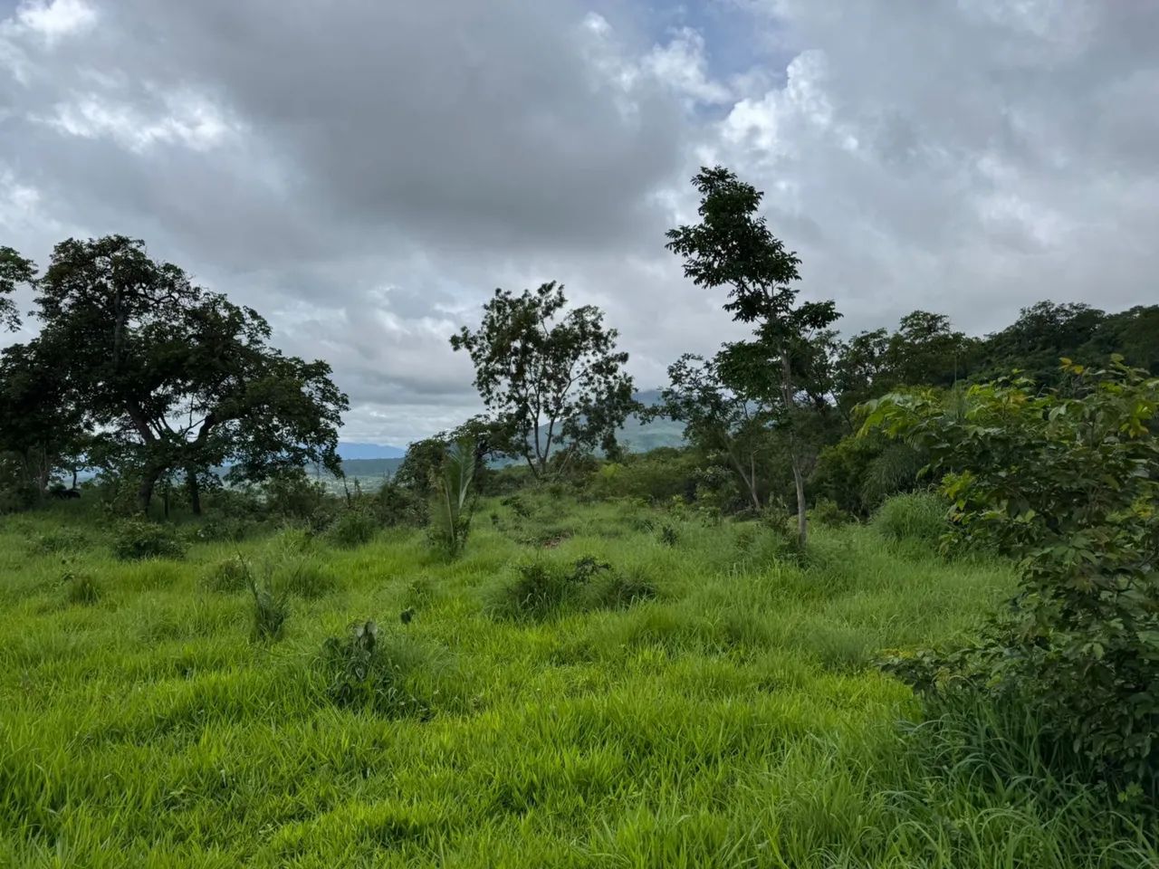 Fazenda de 240 alqueires  - Foto 5