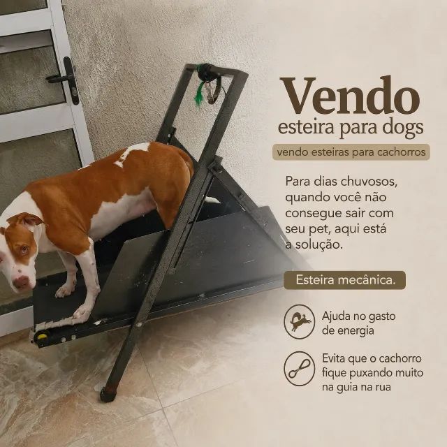 Esteira para cachorros - Foto 4
