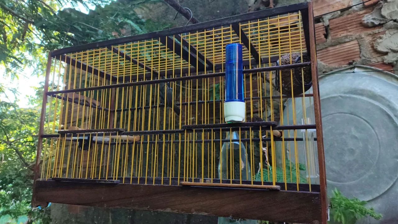 Gaiola voador  - Foto 2