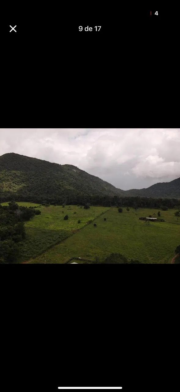 Fazenda no Apiau - Foto 5
