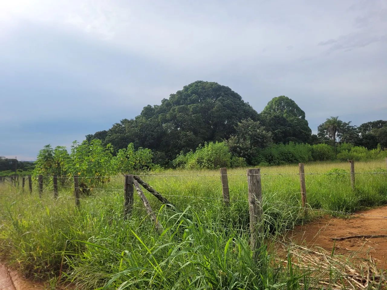 Foto - Brasília - Recanto das Emas