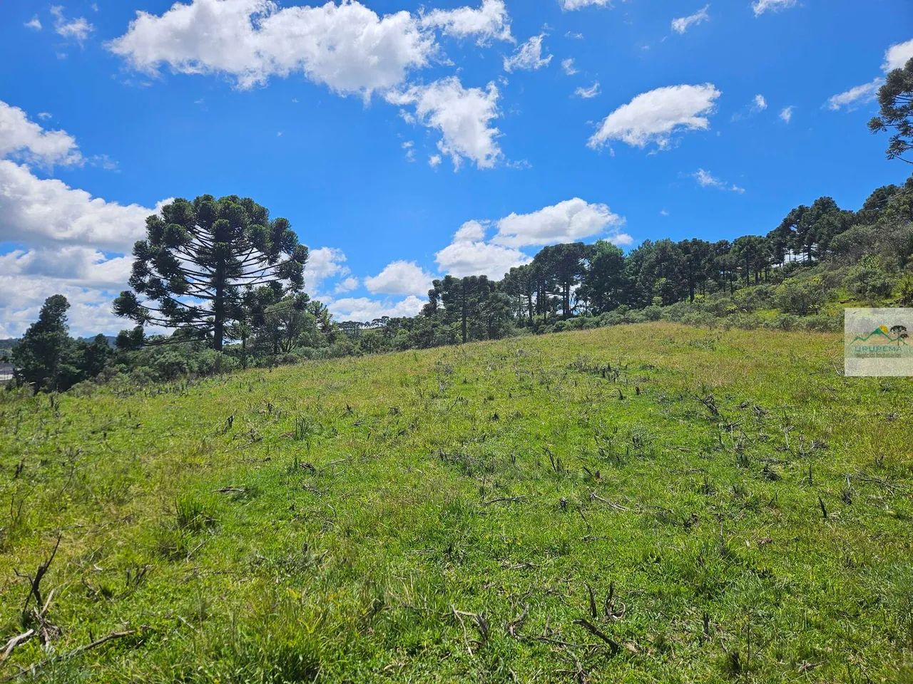 Terreno em Cedrinho, Urupema/SC - Foto 2