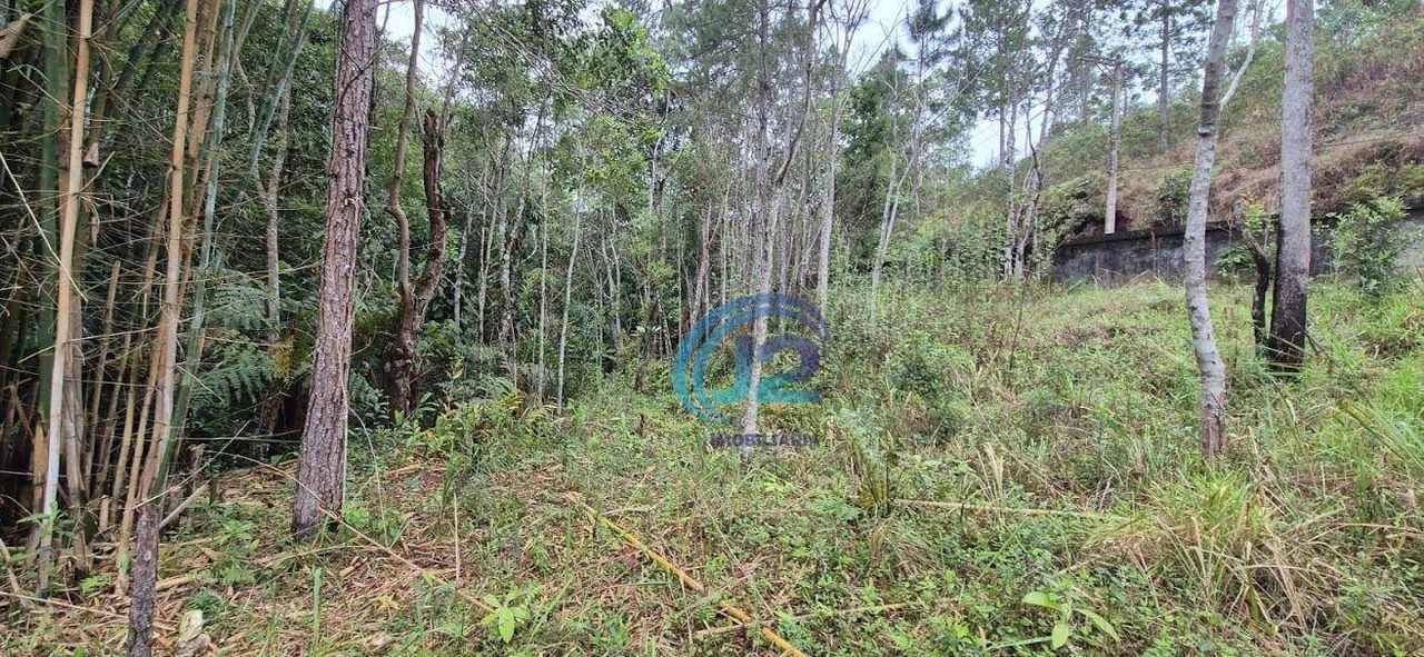 Terreno de 6.000 m² em Local Privilegiado  Ideal para Refúgio ou Negócio! - Foto 2