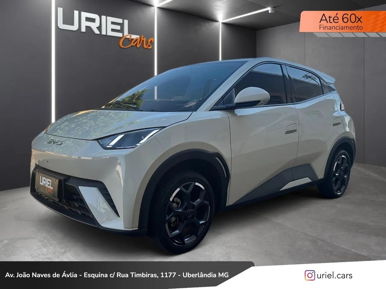 BYD Dolphin GS (Elétrico) 2026 - Foto 3