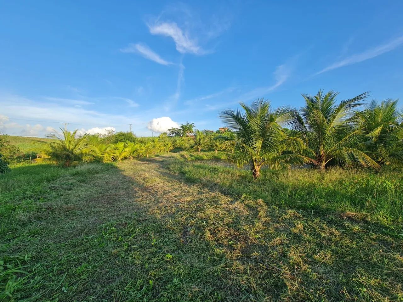Vendo terreno em trigueiros  - Foto 4