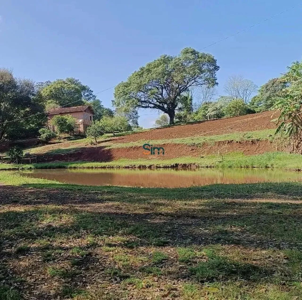 Chacarra para venda - AGUA AMARELA
