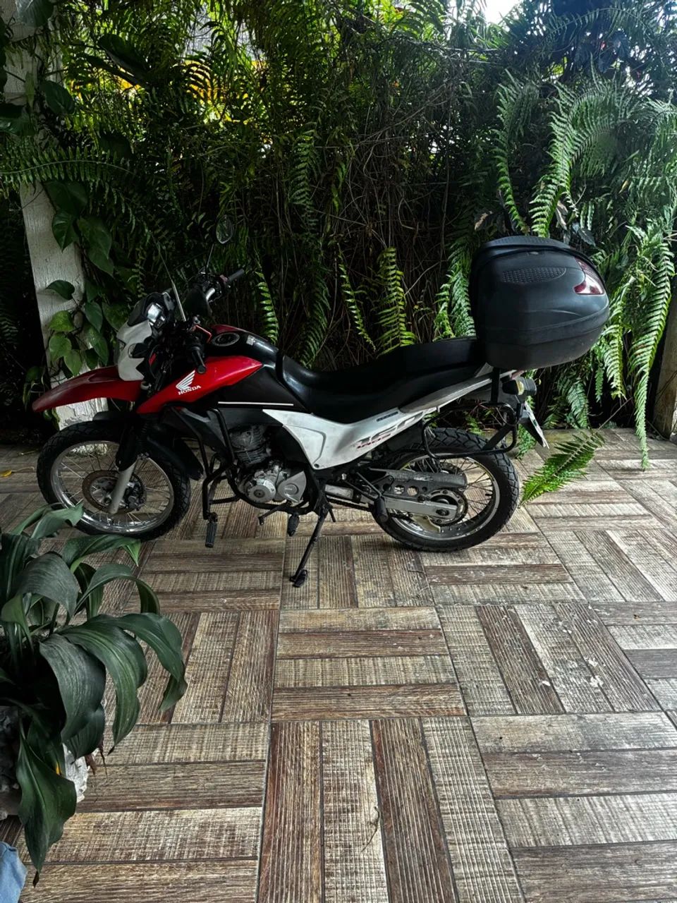 Broas super nova - Foto 2