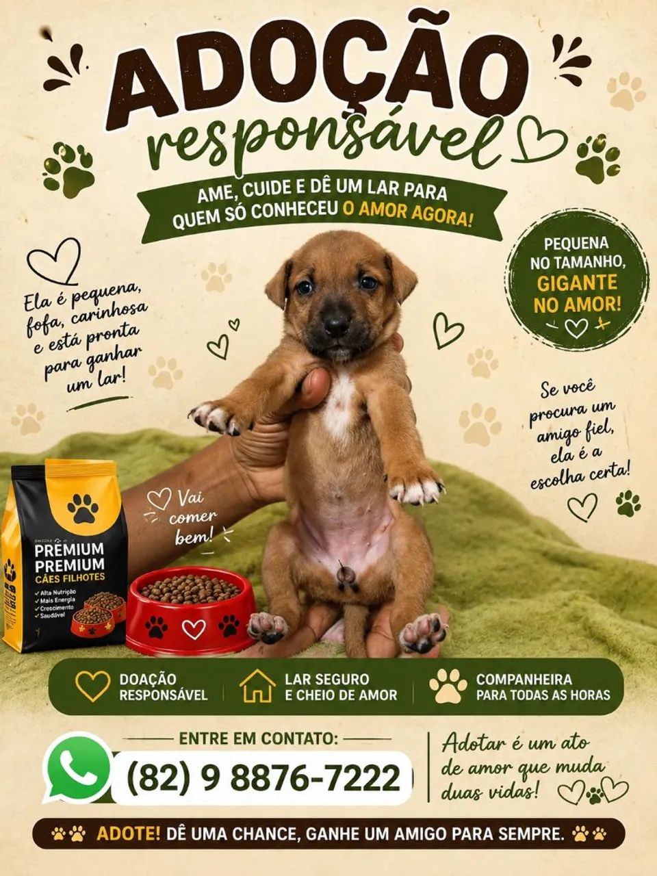 Cachorrinha para adoção 