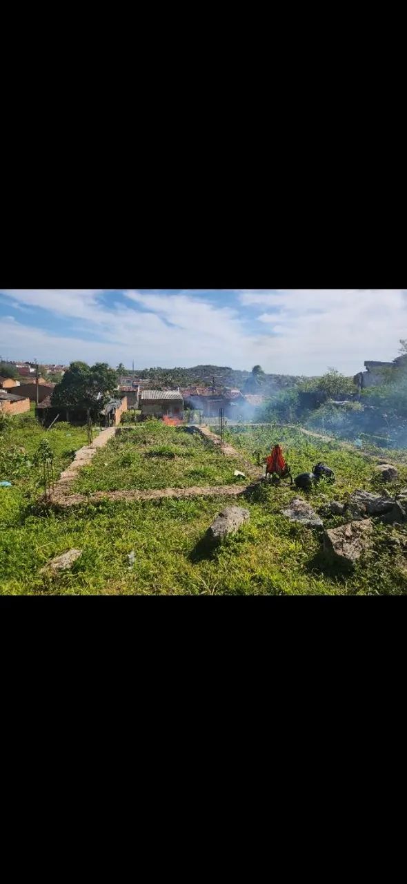 Terreno no  Guajara 8x25 / Com Aliseso.( 20 mil) - Foto 3