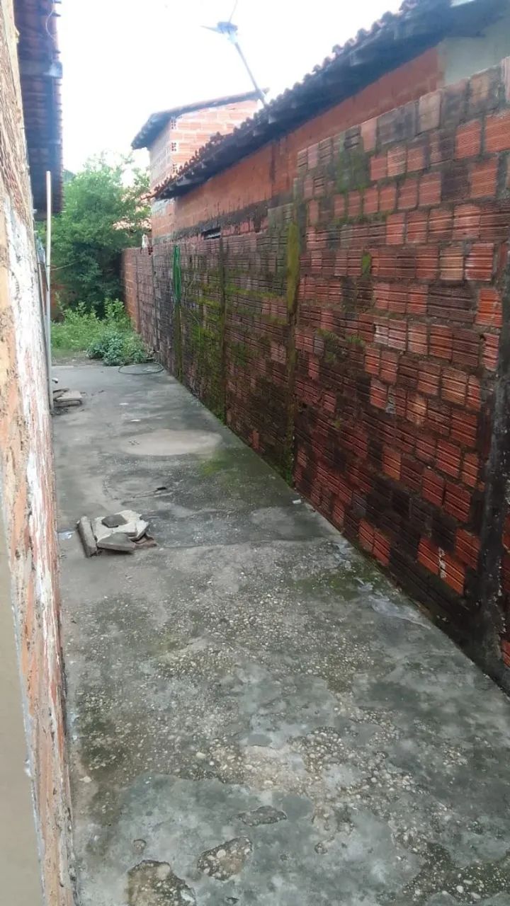 Aluguel de casa  - Foto 5