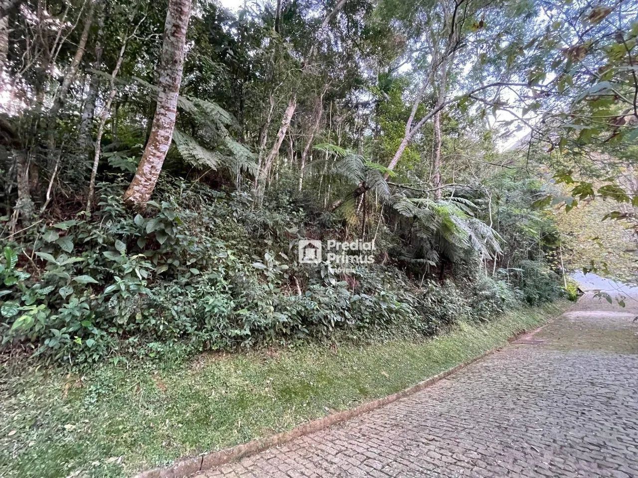 Terreno com RGI , 2345 m² à venda por R$ 350.000 - Mury - Nova Friburgo/RJ - Foto 2
