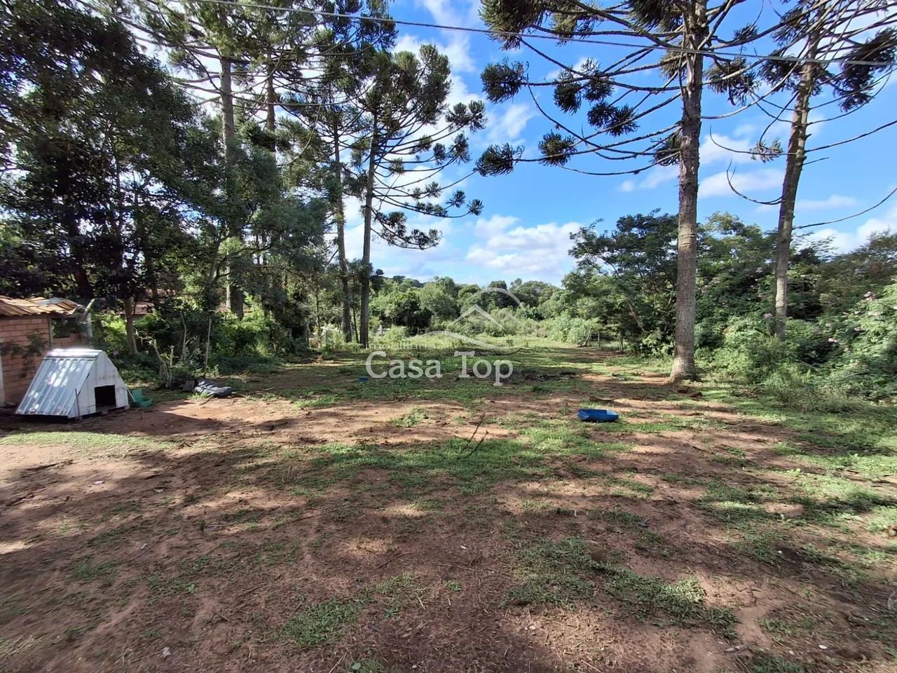 Terreno à venda Carambeí - Foto 5