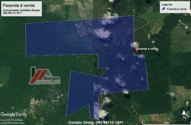 Fazenda de 610 Alqueires no Pará à R$ 28.000,00/HA
