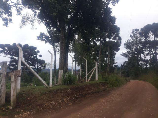Chácara em Campina Grande do Sul - Aceito troca carro / caminhão/ terreno casa - Foto 13
