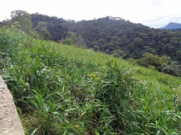 Terreno residencial à venda, Barra do Imbuí, Teresópolis. - Foto 3